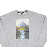 ADIDAS Mens Sweatshirt Grey XL