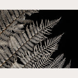 Nordic Simplicity - 1