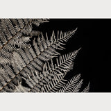 Nordic Simplicity - 1