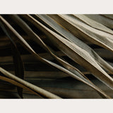 Nordic Simplicity - 5