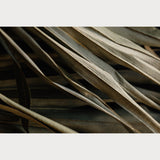 Nordic Simplicity - 5