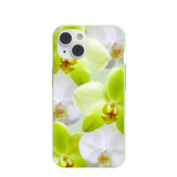 Sage Green Orchid Blooms iPhone 14/16e Case