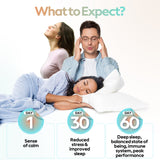 Super Pack + Disco Bundle - Lion's Mane, Super Troop, Reishi