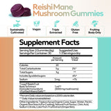 Reishi Mushroom Gummies
