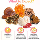 Super Troop - 6 Mushroom Blend Energy/ Immunity Gummies