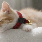 Anypet Small Burgundy Cat Collar with Safety Buckle, Bell & Durable Adjustable Strap – Stylish Comfortable Pet Accessory for Cats