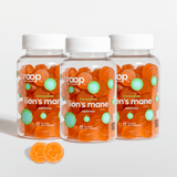 Lions Mane 3 Month Bundle