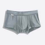 The Blue Steel Trunk