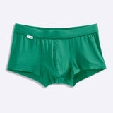 The Earth Green Trunk