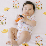 Fleece Milestone Blanket for Baby Photography - I'm Feline So Lucky Right Meow