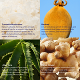 Lucid Leave-In Conditioning Hair Milk