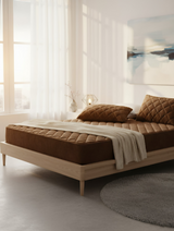 Anycozy Mattress Cover Coffee 180x200cm Crystal Velvet Thicken Quilted Warm Soft Plush Bed Sheet