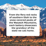 VIVID Geometric AA USB Rechargeable Lithium Batteries | Paleblue