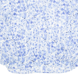 H&M Sheer Womens Printed Blouse Blue Long Sleeve Floral XS