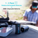 C Rechargeable Batteries with USB-C