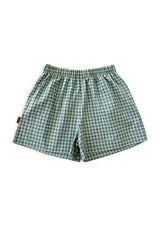 Women checked shorts - Green/Blue
