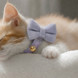 Anypet Small Light Purple Bow Cat Collar with Safety Buckle, Bell & Durable Adjustable Strap – Stylish Comfortable Pet Accessory for Cats