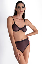 Lustrous Sheer Plunge Underwire Bra