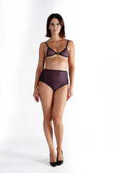 Lustrous Sheer Micro Triangle Bra