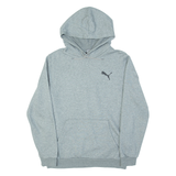 PUMA Mens Grey Hoodie S