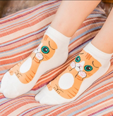 Anyfootwear 5 Pairs One Size 5-9 Multicolor Cat Spring Summer Fashion Women Cotton Sox Cartoon Cute Girl Happy Funny Socks