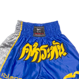 Mens Sports Shorts Blue M W22