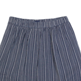 GAP Womens Pleated Skirt Blue Short Striped XS