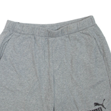 PUMA Mens Casual Shorts Grey L W32