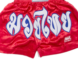 NATION MAN Mens Sports Shorts Red M W24