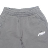 PUMA Mens Sports Shorts Grey Relaxed M W28