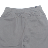 PUMA Mens Sports Shorts Grey Relaxed M W28