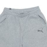 PUMA Mens Sports Shorts Grey Relaxed M W30