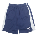 PUMA Mens Sports Shorts Blue Relaxed L W29