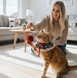 ANYWAGS Christmas Pet Collar – Green Santa Hat, Lace Silk Scarf for Dogs & Cats Holiday Accessories
