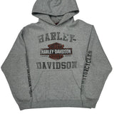 Appleton, Wi Harley Davidson Graphic Hoodie - Large Gray Cotton Blend