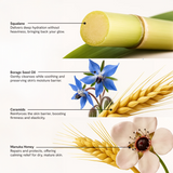 The Complete Face Kit