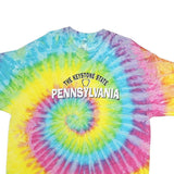 COLORTONE Mens Yellow & Blue Tie Dye Pennsylvania Graphic T-Shirt 2XL Short