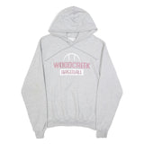 CHAMPION Mens Grey Woodcreek Baseball Pullover Hoodie S Cotton Blend