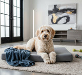Deluxe Buddy Bed – Advanced Orthopedic Memory Foam Dog Bed for Joint Support