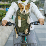 Anypet Green Cozy Winter Pet Carrier Backpack with Hoodie & Storage Pockets for Small to Medium Dogs