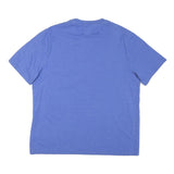 CHAMPION Mens Blue XL Short Sleeve Crew Neck Graphic T-Shirt Cotton Blend