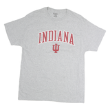 HANES Mens Grey Indiana Graphic T-Shirt L Short Sleeve Crew Neck Cotton
