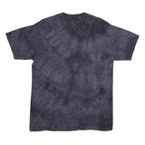 THE MOUNTAIN Mens Black Graphic T-Shirt M Short Sleeve Crew Neck Eagle Print