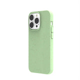Sage Green iPhone 13 Pro Case