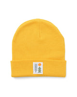 Evergreen Cuffed Beanie | Gold