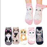 Anyfootwear 5 Pairs One Size 5-9 Multicolor Cat Spring Summer Fashion Women Cotton Sox Cartoon Cute Girl Happy Funny Socks