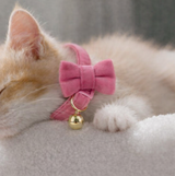 Anypet Stylish Pink Cat Collar – Small Size with Safety Buckle, Bell & Durable Strap
