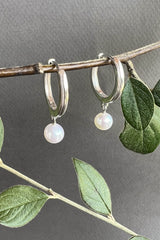 Paloma Huggies Silver