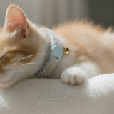 Anypet Small Sky Blue Cat Collar with Safety Buckle, Bell & Durable Adjustable Strap – Stylish Comfortable Pet Accessory for Cats