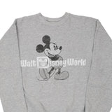Walt Disney World Hanes Graphic Sweatshirt - Medium Grey Cotton Blend